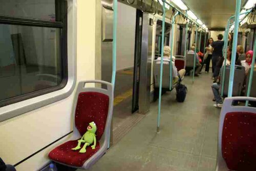 kermit-istanbul-006.jpeg image